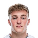 罗比戈茨